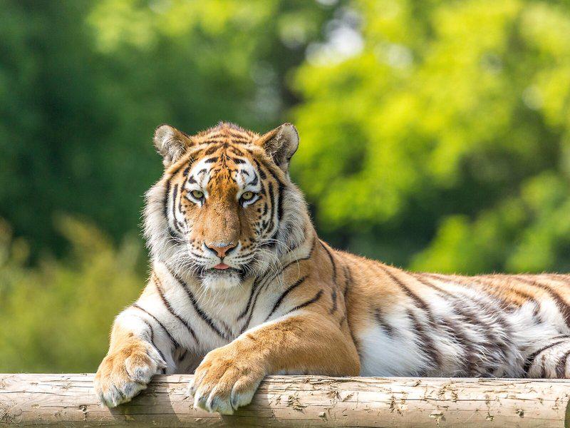 DE0E926E8425182C213ADFE18FE55600