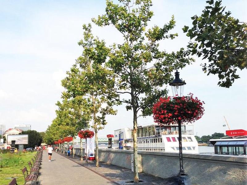 08B8E40B2FFFFB1A4A1CD8F6CA2AA47C