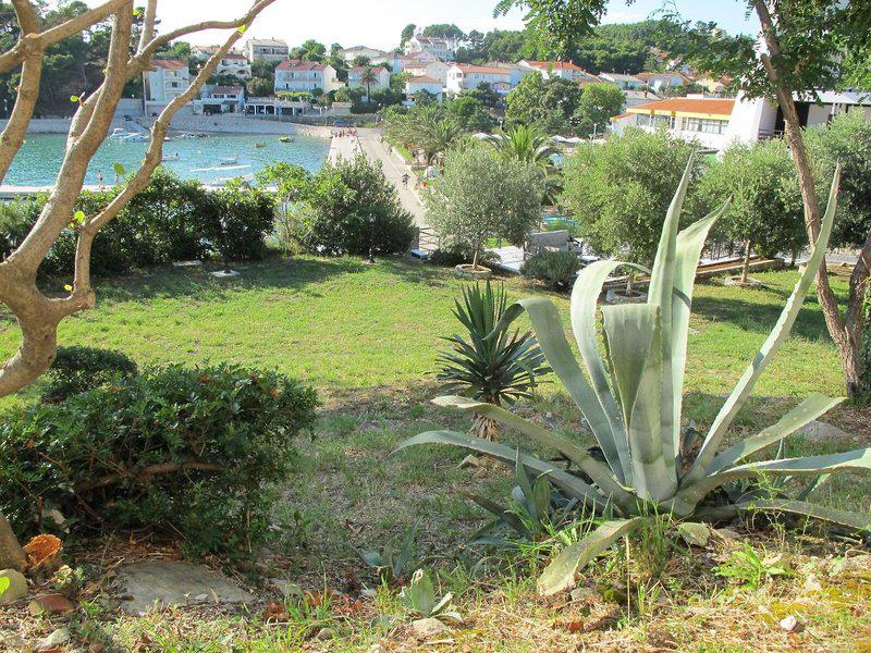 09B38A63D8D47A5FC33DECA22EDAE6CF