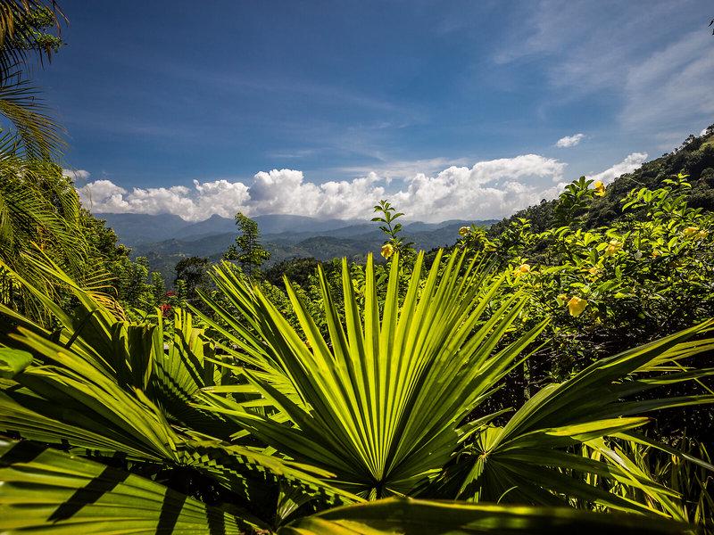 E00FA7F0FA6586D229200B3BA45ACA04