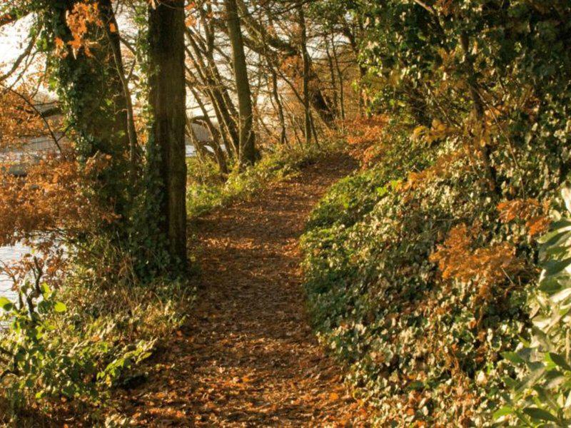 18C45C5E88FD76EEBEBCF9735AD6E4D8