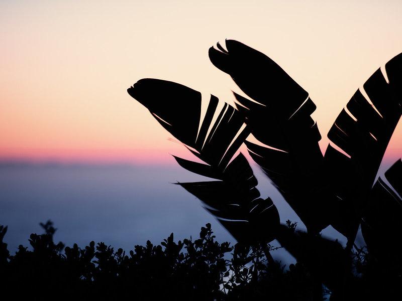 BEEDF3E5AE36CC0AFCECB5CC2E8BA070