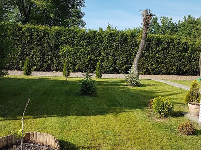 42C39B94C26B7452CAD6692ABF9ECCA5