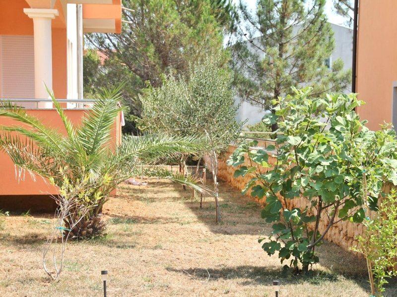 05F54EDCE5DBBC49C9F269941355605E