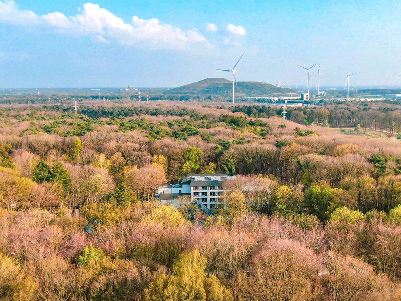 56264C41CB30E4174E7AAD09F73D973A