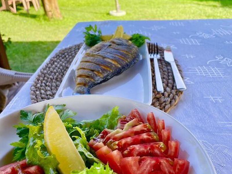 FC83E2810BE3EDA94D98765D460F01B8