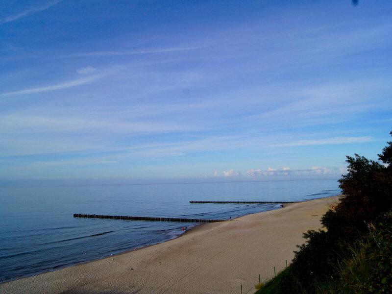 62A93E8AD2264B546D9B6027D4237384