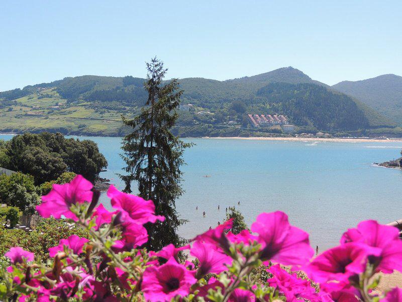 A36AF0BC428F28B85E5C485F439B0654