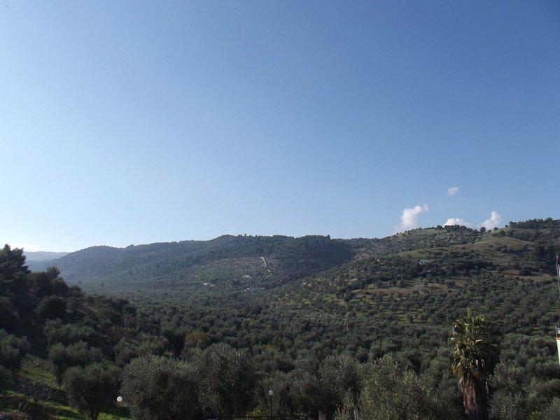 5487BAAE75CA6E83835A052B4F1C8B8F