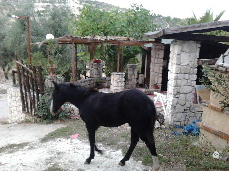 E679AB014AB6645EFCF7BEF85007E745