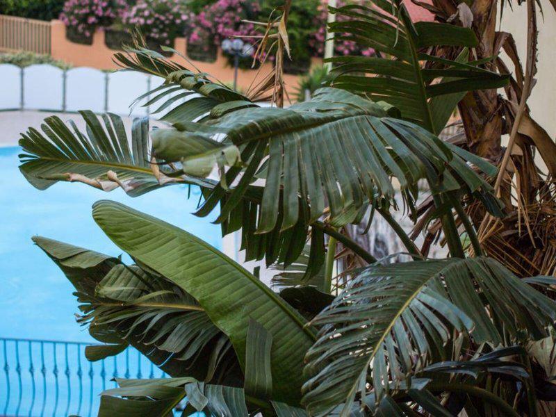 2F8ED0824D58B6589773DE0527C6F197