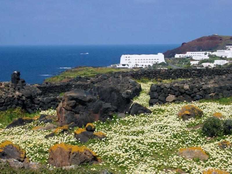 3D1BBBEE4ADDEE5E8AD0C401CEC27B8B