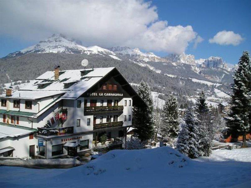 AF6B03CAB7FE3DAA062BC9B22C41B38D