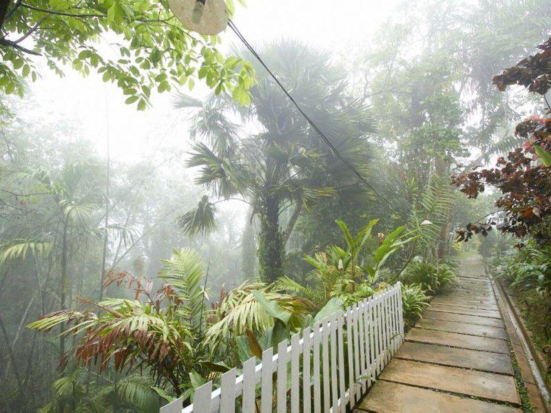 01BB982A7B0DFA5A3BA3098021D0BD21