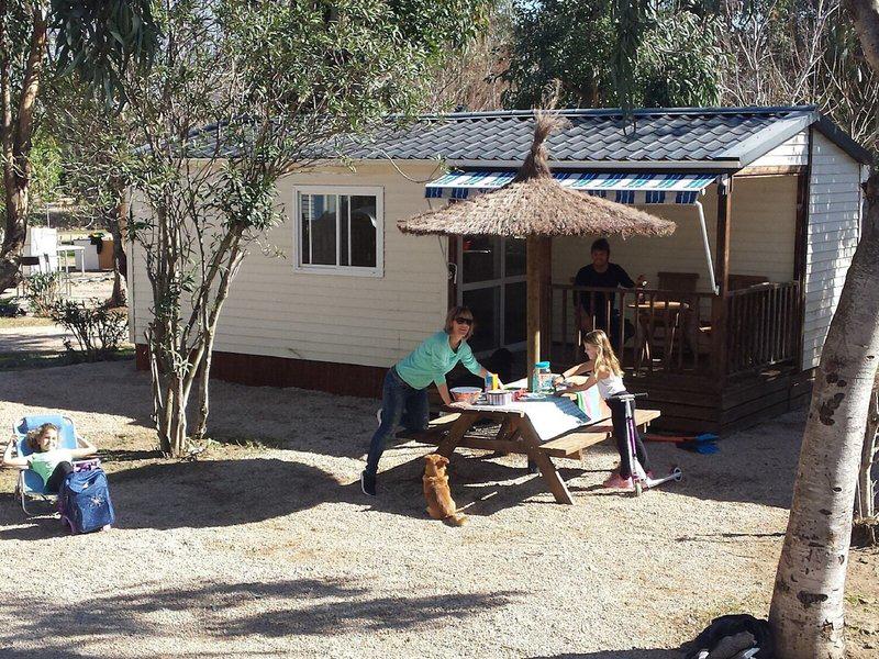 FE74EE3ABFB4AFBA465DDA4CCB34C8C6