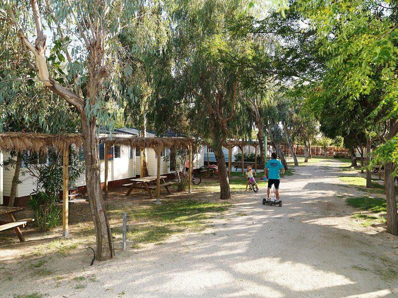 A90E372B0D138ED998129F6A526ACA20