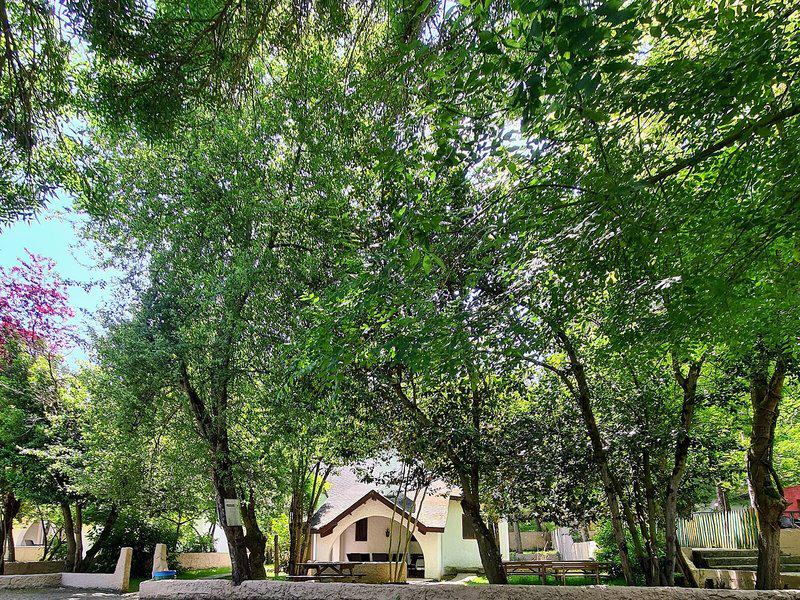 684D9754F4269061F766AD102A6AC918