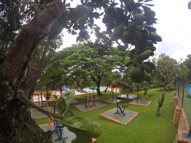 EB905C6E925D9918B08B2A09F9B021F1