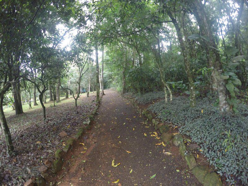 F2A7D4B31B6D0493B6ACDCC46ED601BB