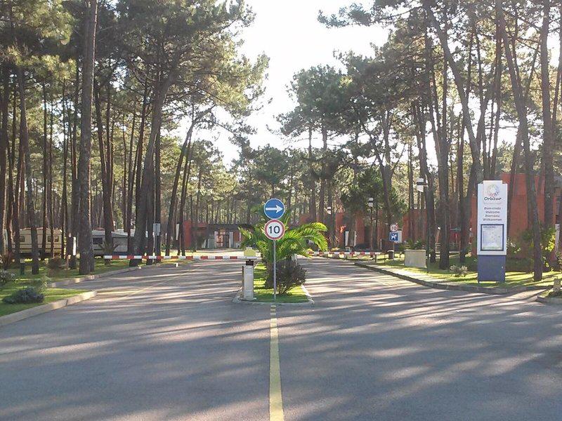 645496C39987BF608D8A59E3AC74697B