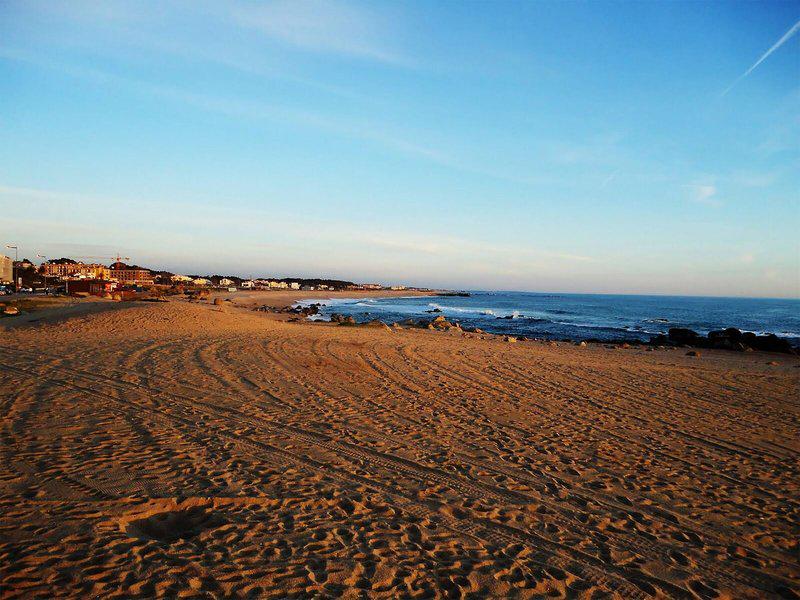 CF2B1677C1EC094E048D8363B31544E0