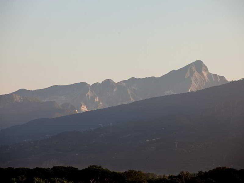 CE2F6BA12731C74AC01957FFE41F0042