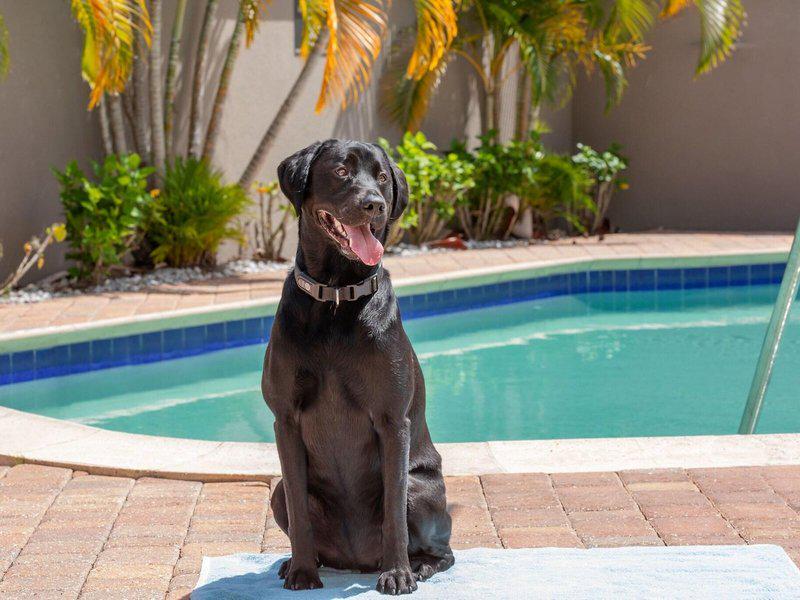 57DD1847B574F4D55DFF563EA93269C4