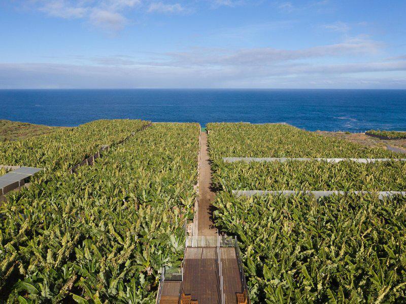 0A3CE624D1FBAD4A344036D3C73EF286