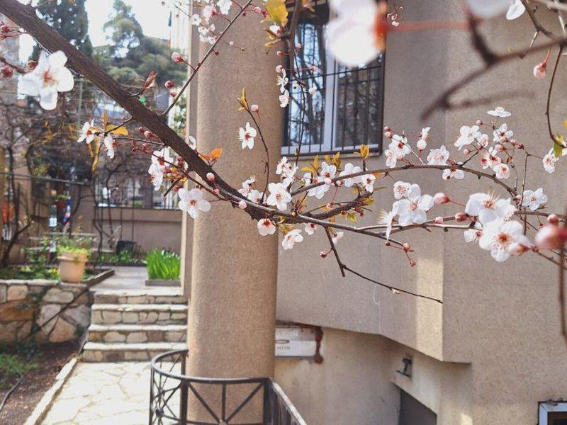 CEDBEDDB1EF5EEA6544DC17B7B7531CE