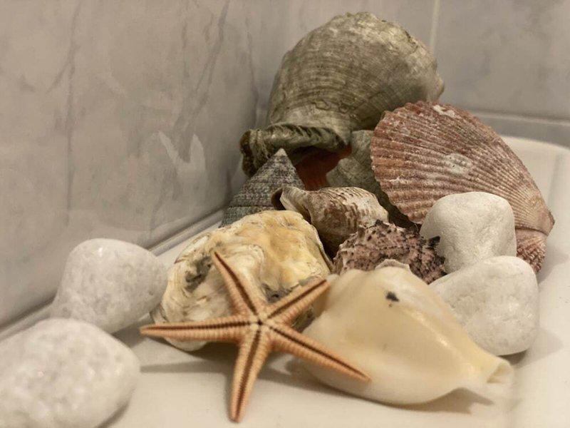 1282E4555D101B081A7956F599BABEF4