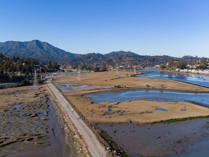 3EE59E2F4CEA267401A231E6F3D08D5B