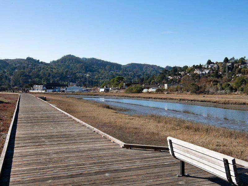 DE0D42EF53F0CD712FC17C05DD0BFDBC