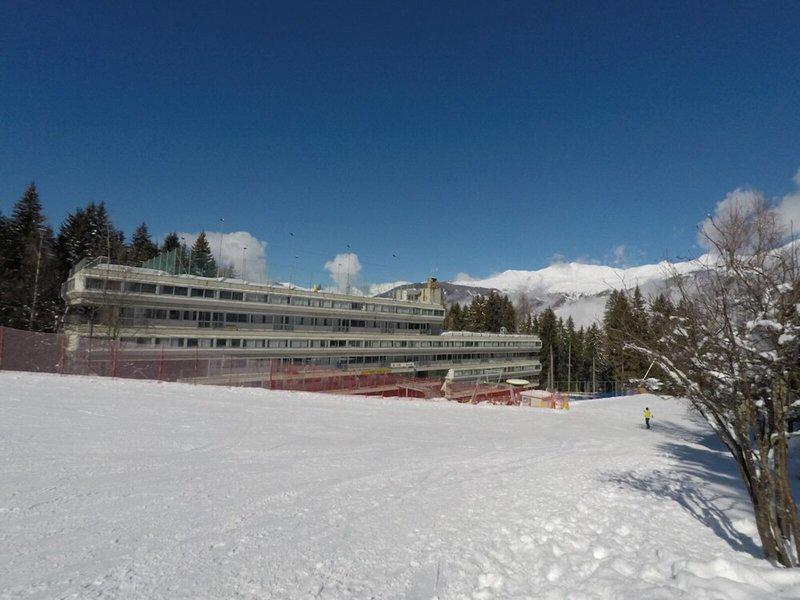 98B9707BDFDF71CBC9AD549801C2D270