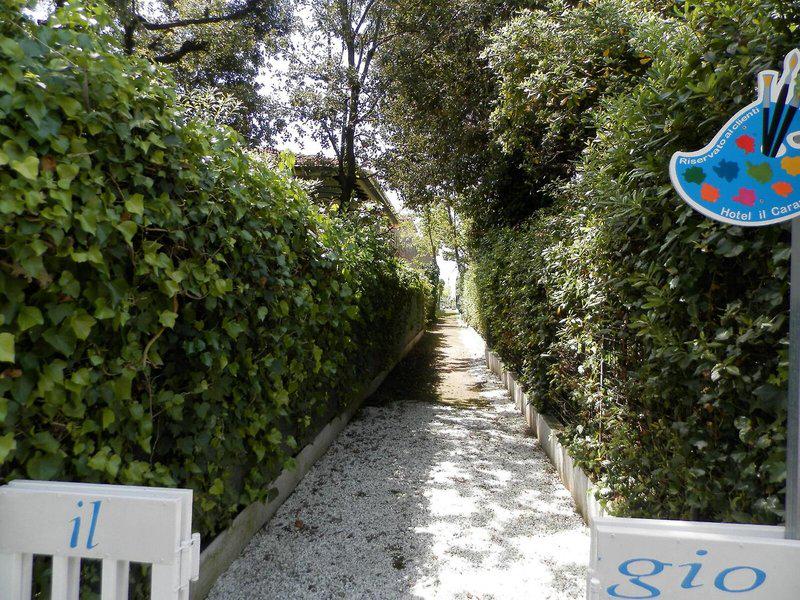 19F862EF95B76E012E2742ABC631E50F