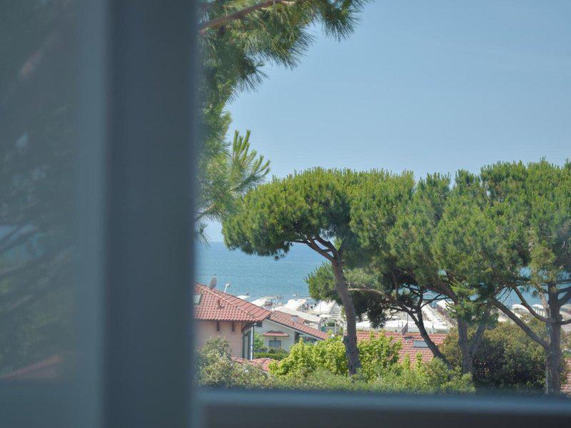 F9C44E6106229D80A3C101DFEC3E3B99