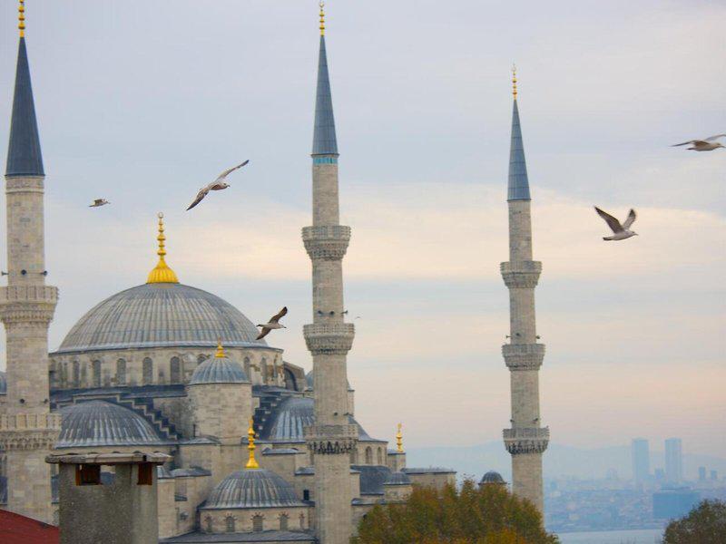 EF26EADC71DD74B7818618BBBF9E936F