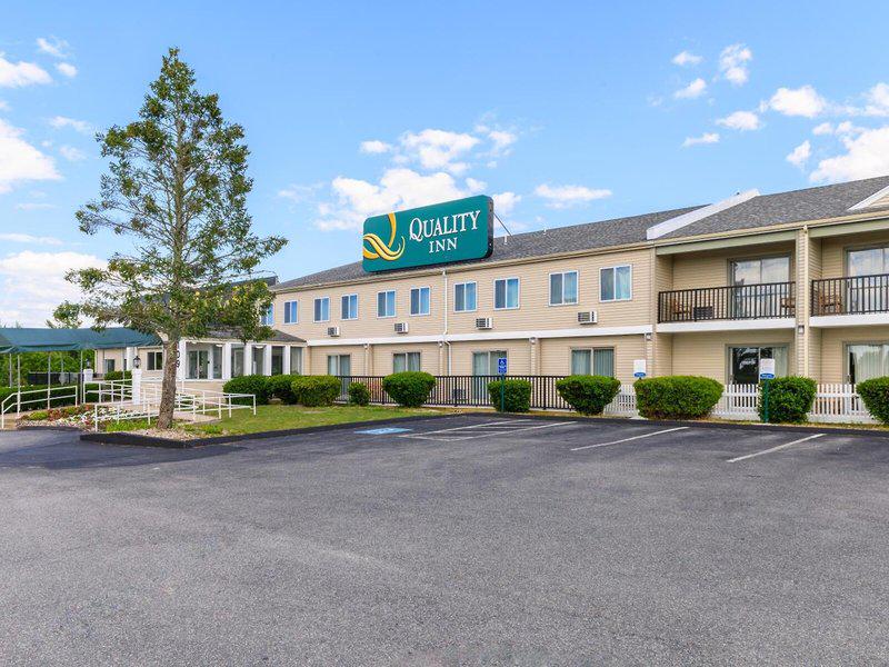 C6C1C554FF89F5B89BAED19E3E12118A