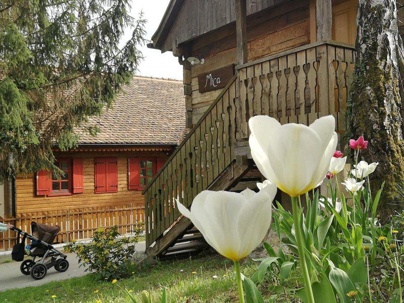 59EB4E676CE2CC6B38E505759588F9BB