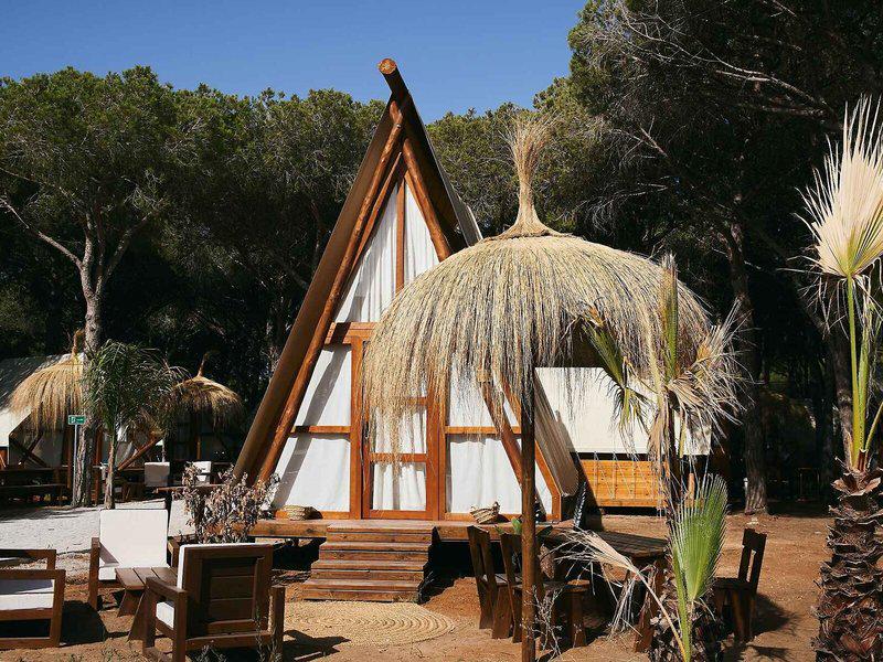 0153C5F9652D226F13D35A45AF0FCC46