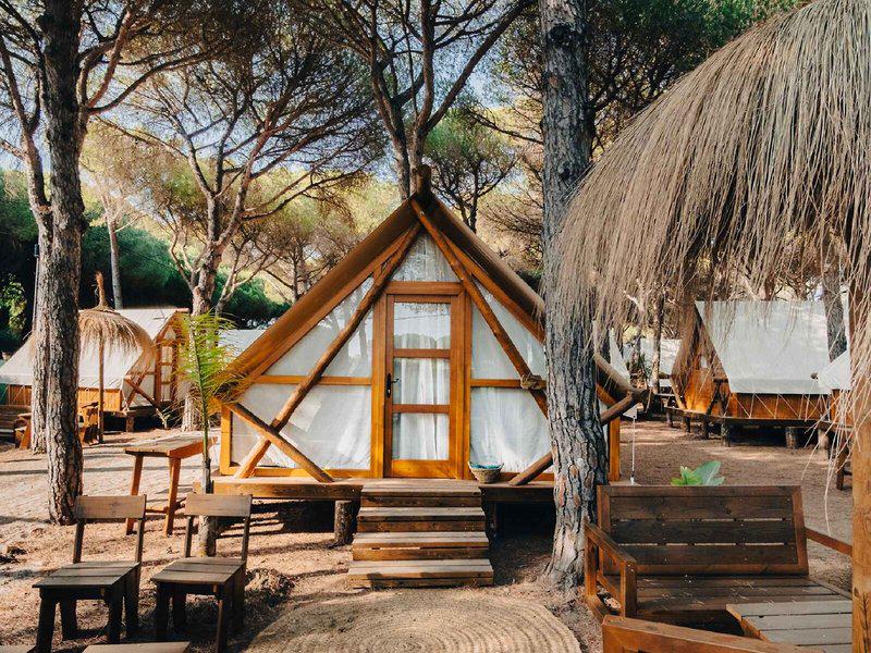 02082EC79EFA5EA00A1DFFC7E5BD00D8