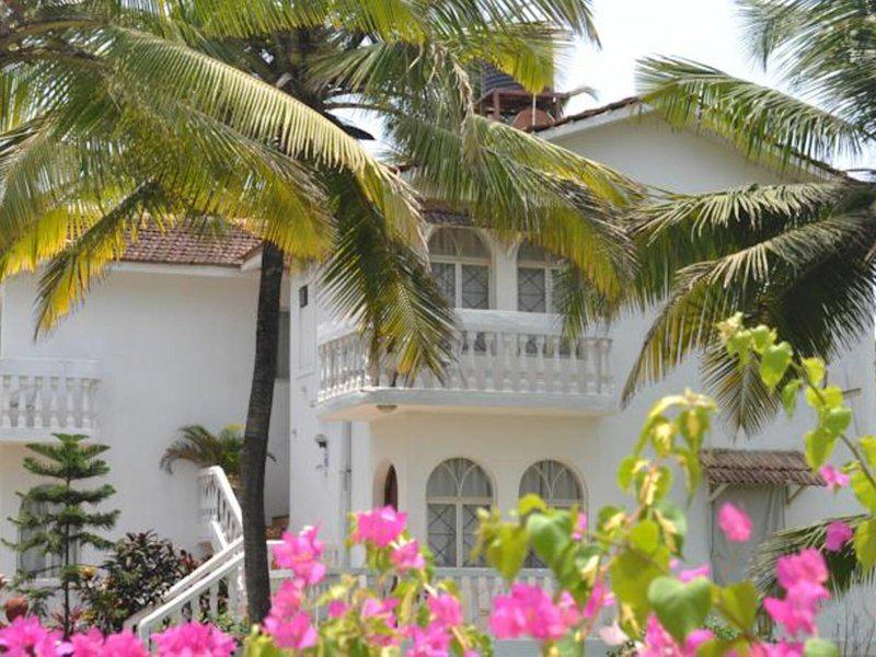 0B094C252E16A2D60C6FA663D69B4B9E