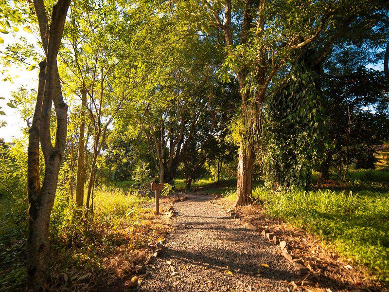 F10C544DF6CC44A93AA81EB7B0F82B95