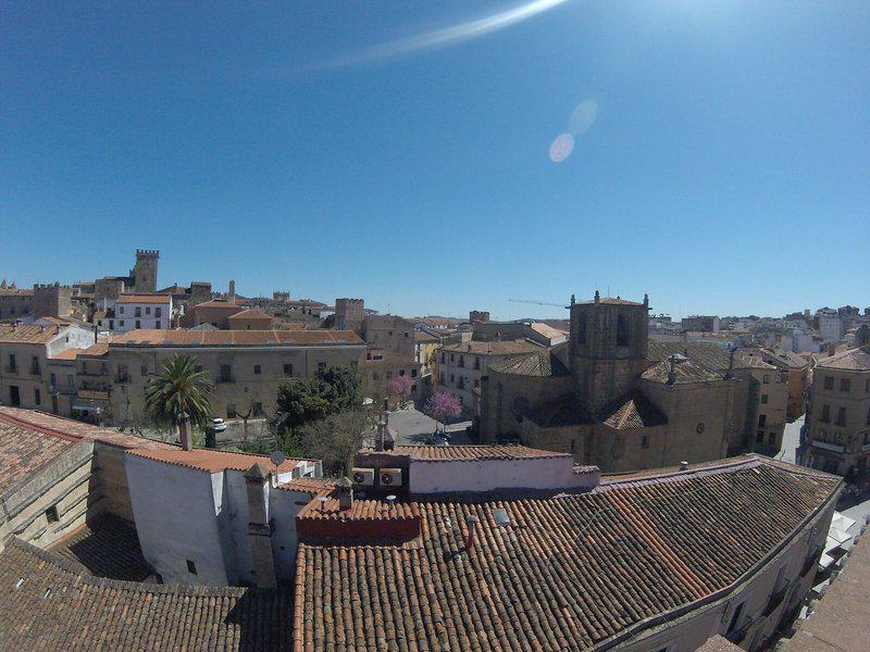 80C08377D99C20F92C79F50FE7EFA109