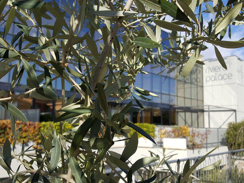 FA1A772C2BA15015A152D19E89BD7EA8