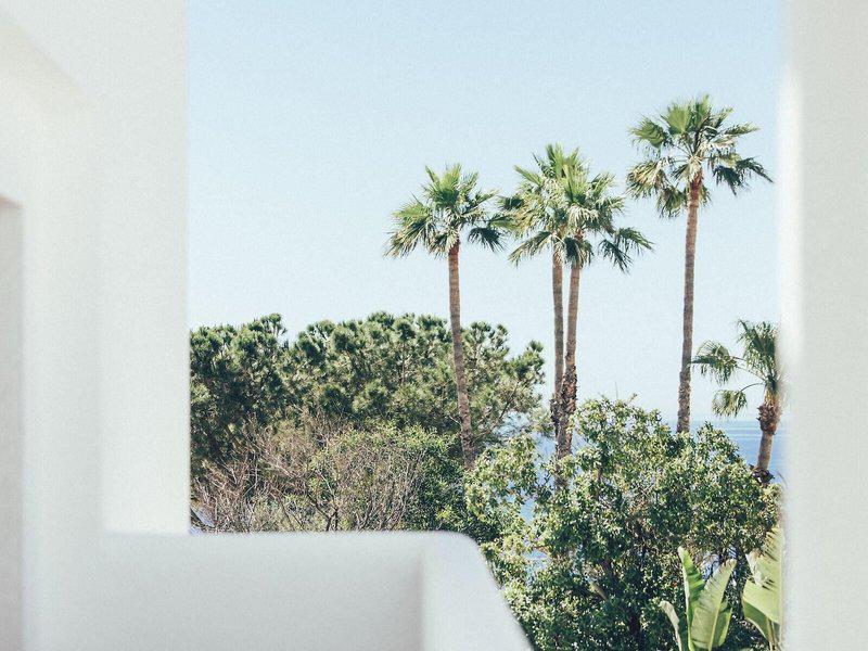 CE340C26856D704AAD9D48FE410DB932