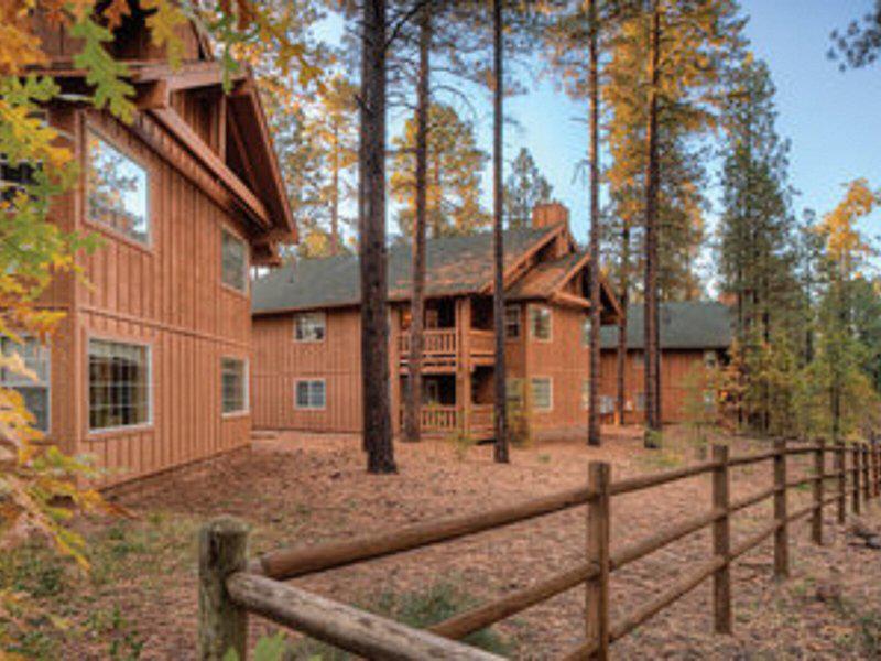 6E335C2E9BC945C39D6B6F754B340D63