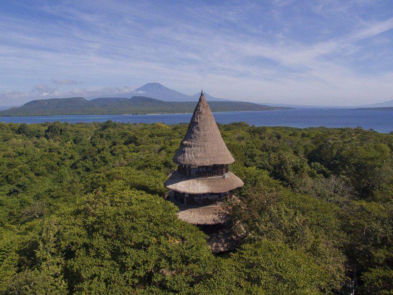 C85BE225E4F46D444DE4FB25547F8F76