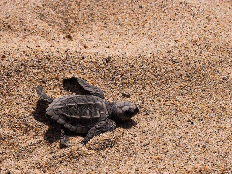 A1B2EF6EA6FE743543B0F5AD12BACFCA