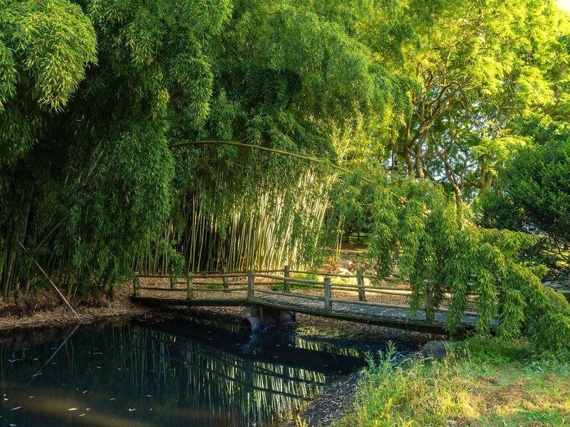 9DD60A80F029F8B6DEF5E34E51DD88C7