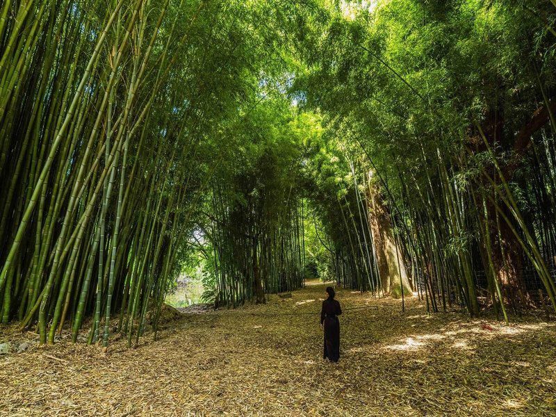 65F2F68DB1C140E2EAB7702B99F5A20A